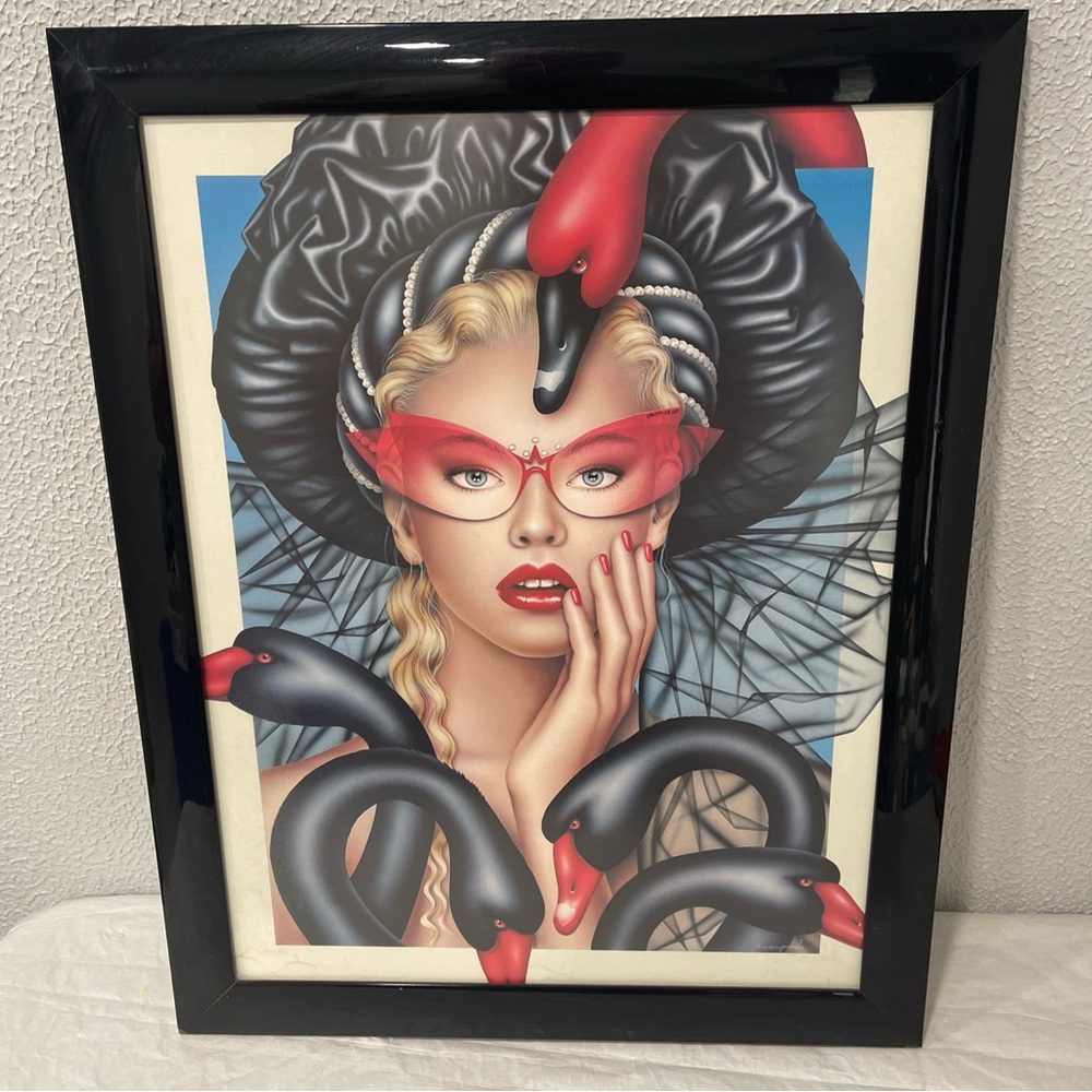 Luxottica Print,  Lady With Swans In Beautiful Eye Catching Colors. See Pictures